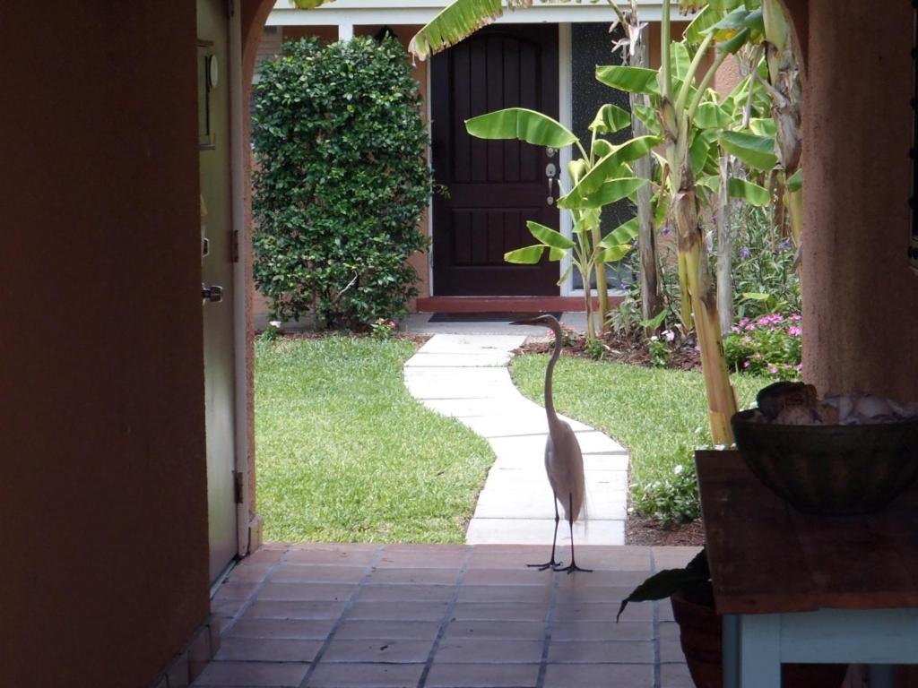 Beach Road Villas Sanibel Zewnętrze zdjęcie
